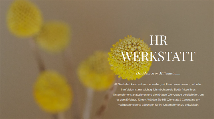 Iten HRM Werkstatt + Consulting