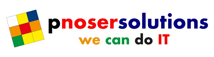 P. Noser Solutions